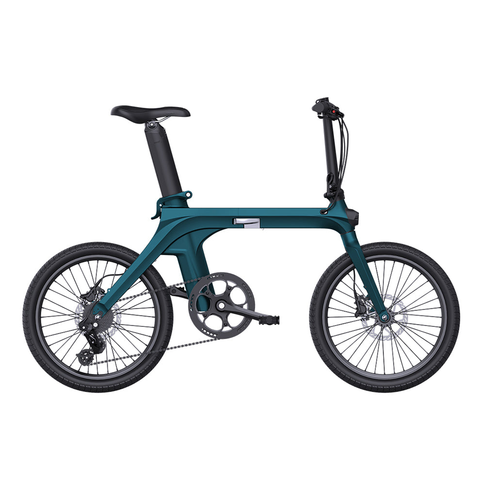 FIIDO EBIKE
